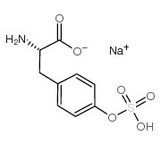 O-磺基-L-酪氨酸钠盐图片