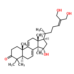 S97405X71M Structure