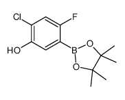 1256360-20-9 structure