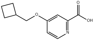 4-(Cyclobutylmethoxy)pyridine-2-carboxylic acid结构式