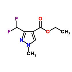 3-(二氟甲基)-1-甲基-1H-吡唑-4-羧酸乙酯图片