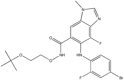 5-((4-bromo-2-fluorophenyl)amino)-N-(2-(tert-butoxy)ethoxy)-4-fluoro-1-methyl-1H-benzo[d]imidazole-6-carboxamide结构式