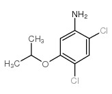 2,4-二氯-5-异丙氧基苯胺结构式