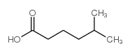 5-甲基己酸结构式