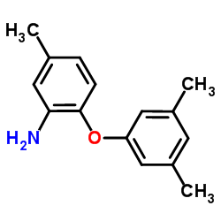 736892-81-2结构式