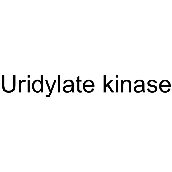 Uridylate kinase结构式
