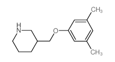 3-[(3,5-Dimethylphenoxy)methyl]piperidine Structure