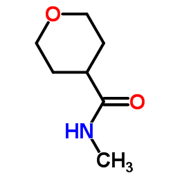 TETRAHYDRO-PYRAN-4-CARBOXYLIC ACID METHYLAMIDE Structure