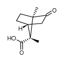 (1R)-trans-Isoketopinic acid结构式