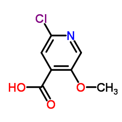 2-Chloro-5-methoxyisonicotinic acid Structure