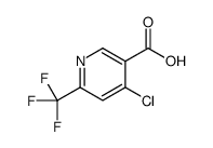 4-氯-6-(三氟甲基)烟酸图片