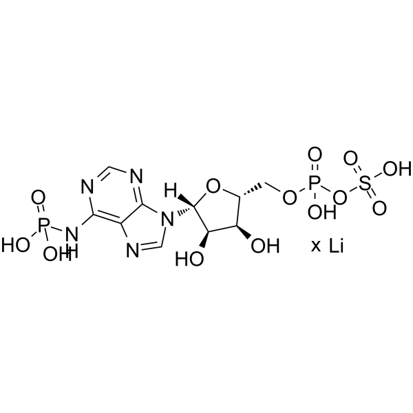 Adenosine 3'-Phosphate 5'-Phosphosulfate Lithium salt picture