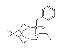 3-benzylsulfonyl-7-butyl-9,9-dimethyl-3,7-diazabicyclo[3.3.1]nonane结构式