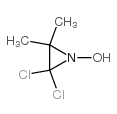 2,2-dichloro-1-hydroxy-3,3-dimethylaziridine Structure