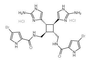 79703-25-6 structure