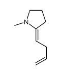 2-but-3-enylidene-1-methylpyrrolidine Structure