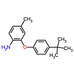 4-Methyl-2-[4-(2-methyl-2-propanyl)phenoxy]aniline结构式