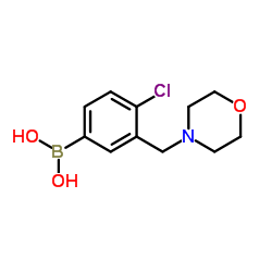 1704073-83-5 structure