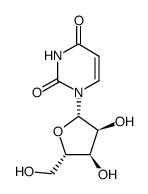 L-Uridine picture