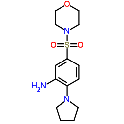 5-(MORPHOLINE-4-SULFONYL)-2-PYRROLIDIN-1-YL-PHENYLAMINE结构式