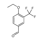 4-ETHOXY-3-(TRIFLUOROMETHYL)BENZALDEHYDE图片