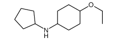 N-cyclopentyl-4-ethoxycyclohexan-1-amine Structure