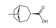 3β-tropane-3-carboxylic acid结构式