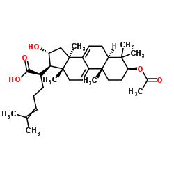 3-O-Acetyl-16 alpha-hydroxydehydrotrametenolic acid Structure