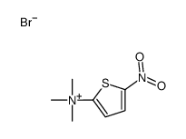 trimethyl-(5-nitrothiophen-2-yl)azanium,bromide结构式