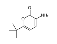 3-amino-6-tert-butylpyran-2-one Structure