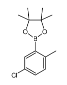 5-Chloro-2-Methylphenylboronic acid, pinacol ester picture