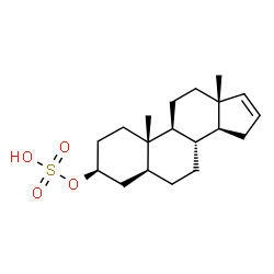 androst-16-en-3-ol sulfoconjugate Structure