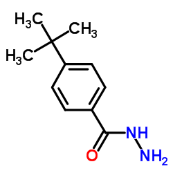 4-(tert-Butyl)benzohydrazide Structure