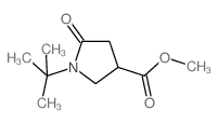 METHYL 1-TERT-BUTYL-5-OXO-3-PYRROLIDINECARBOXYLATE Structure