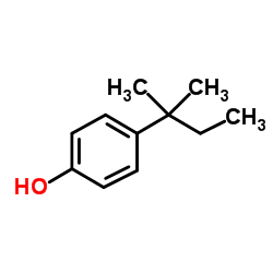 4-tert-Amylphenol structure