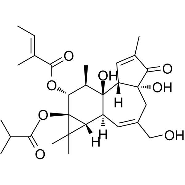 伏波酯-12-惕各酸酯-13-异丁酸酯图片