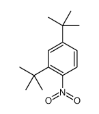 2,4-ditert-butyl-1-nitrobenzene结构式