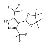 3,5-Bis(trifluoromethyl)-1H-pyrazole-4-boronic acid, pinacol ester picture