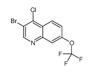 3-Bromo-4-chloro-7-trifluoromethoxyquinoline结构式