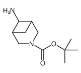 Meso-(1R,5S,6r)-叔-丁基 6-氨基-3-氮杂二环[3.1.1]庚烷-3-甲酸基酯图片