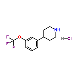 1965309-79-8 structure