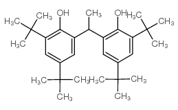 2,2'-ETHYLIDENEBIS(4,6-DI-TERT-BUTYLPHENOL) structure