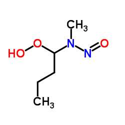 1-[Methyl(nitroso)amino]butyl hydroperoxide Structure