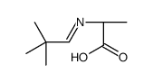 L-Alanine, N-(2,2-dimethylpropylidene)- (9CI) picture