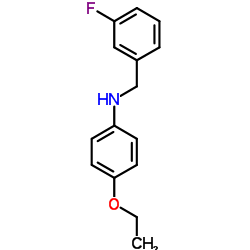 4-Ethoxy-N-(3-fluorobenzyl)aniline Structure