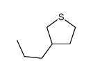 3-propylthiolane Structure