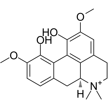 木兰花碱图片