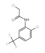 2-Chloro-N-(2-chloro-5-(trifluoromethyl)phenyl)acetamide structure