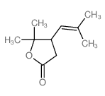 5,5-dimethyl-4-(2-methylprop-1-enyl)oxolan-2-one picture