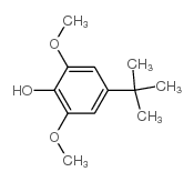 4-tert-butyl-2,6-dimethoxyphenol Structure